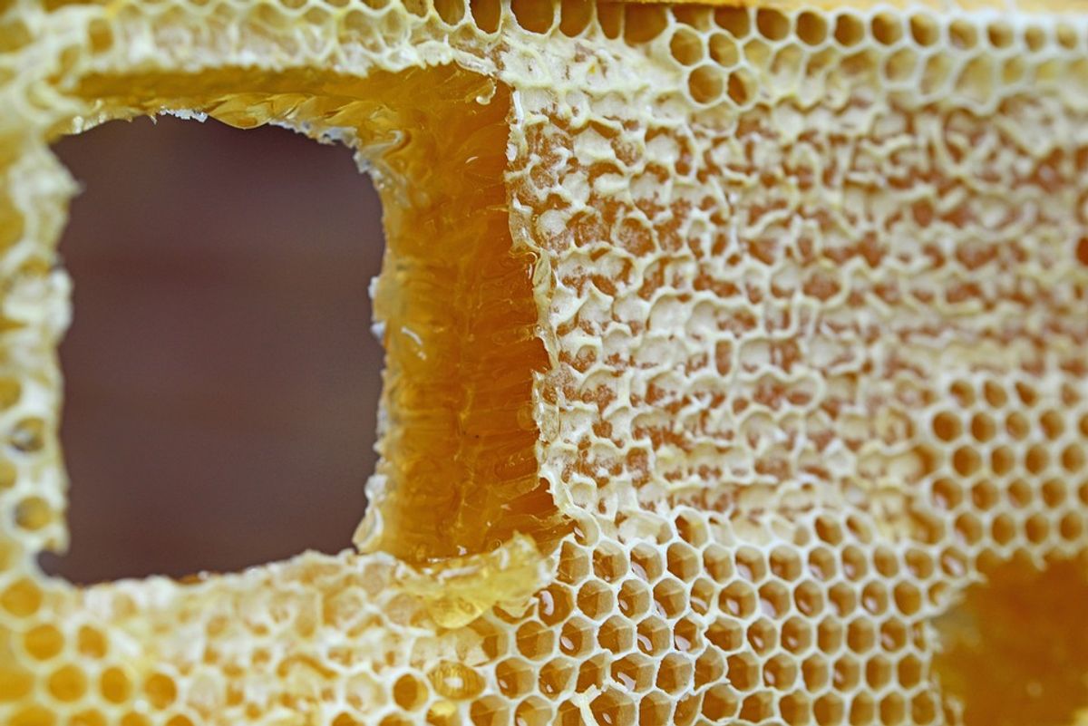 Experience Sweet Satisfaction: Get Your Premium Quality Honey Today!